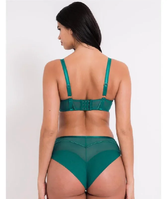 scantilly-senses-plunge-bra-verdigris-green