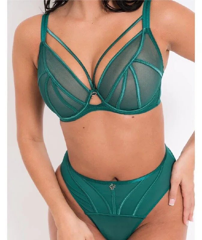 scantilly-senses-plunge-bra-verdigris-green